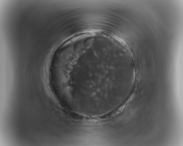 X0000088430337200706051234