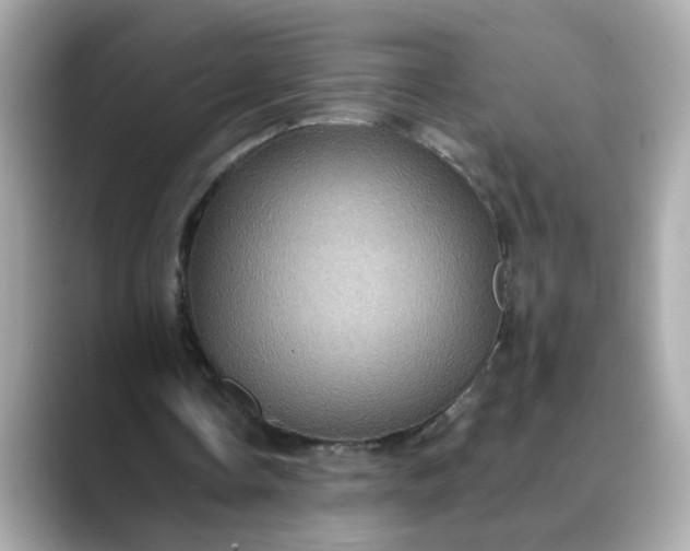 X0000088430338200706051234