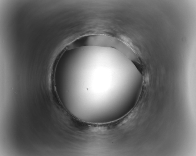 X0000088430340200706051234