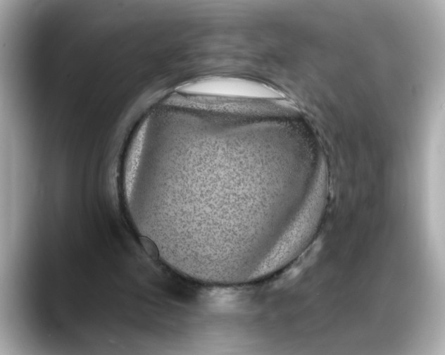 X0000088430341200706051234