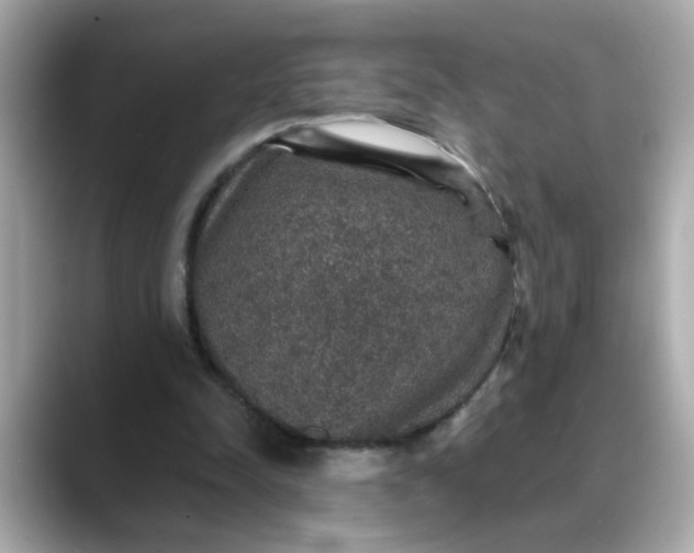 X0000088430342200706051234