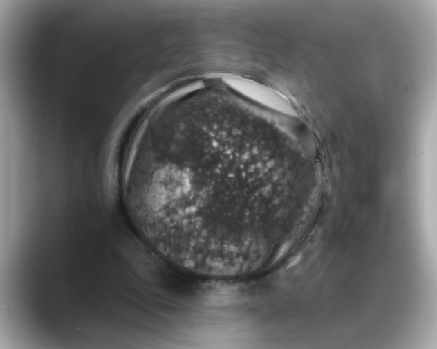 X0000088430343200706051234