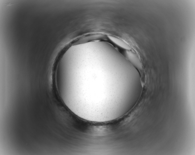 X0000088430344200706051234