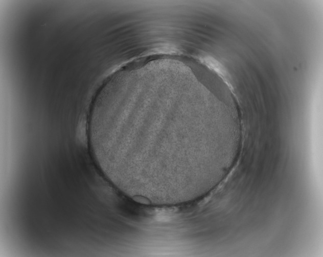 X0000088430345200706051234