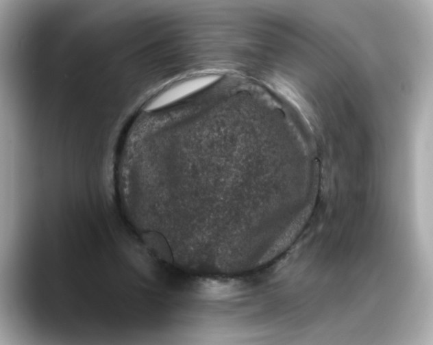 X0000088430346200706051234