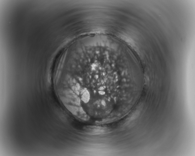 X0000088430347200706051234