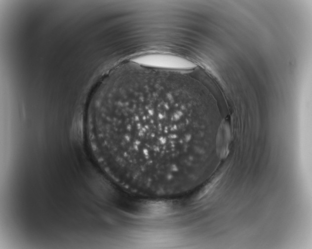 X0000088430349200706051234