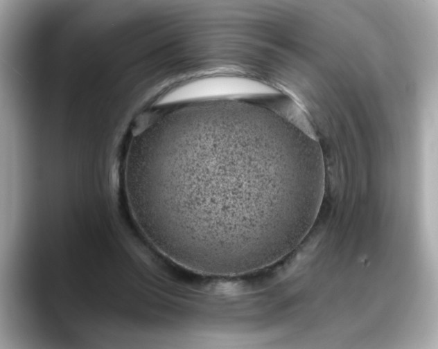 X0000088430350200706051234