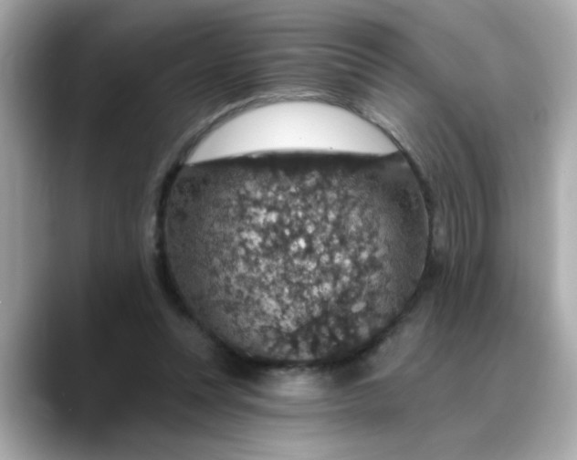 X0000088430351200706051234