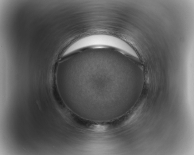 X0000088430352200706051234