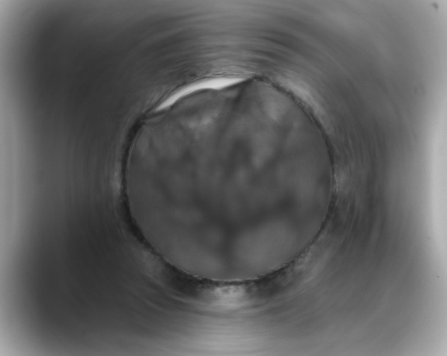 X0000088430353200706051234