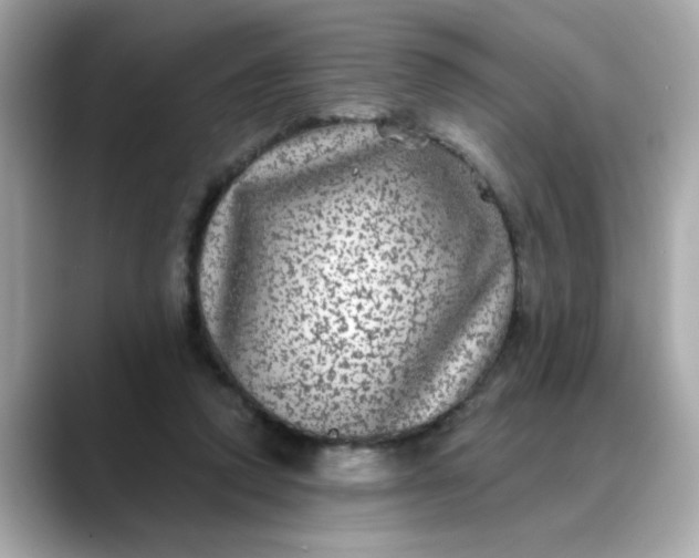 X0000088430354200706051234