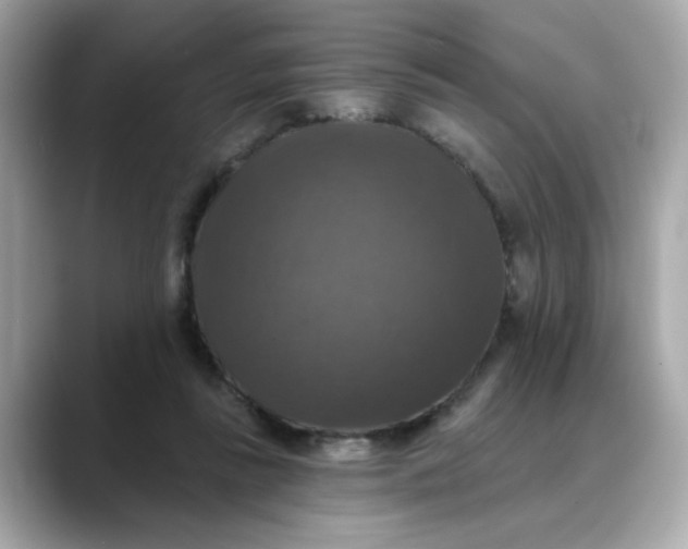 X0000088430355200706051234