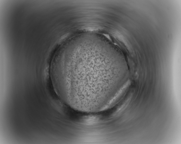 X0000088430356200706051234