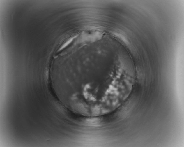 X0000088430357200706051234