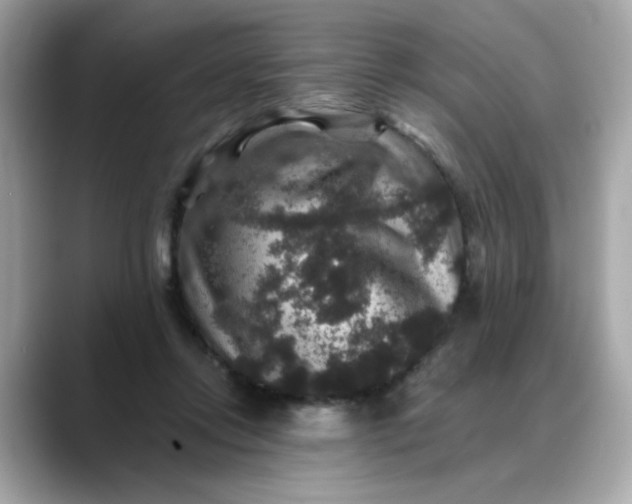 X0000088430358200706051234