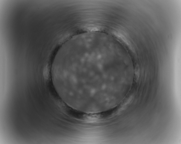 X0000088430359200706051234