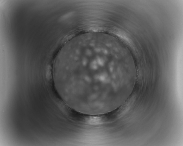 X0000088430361200706051234