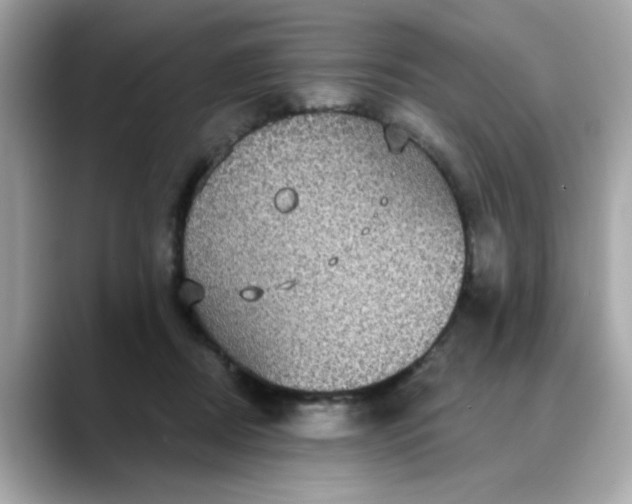 X0000088430362200706051234