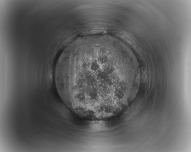 X0000088430363200706051234