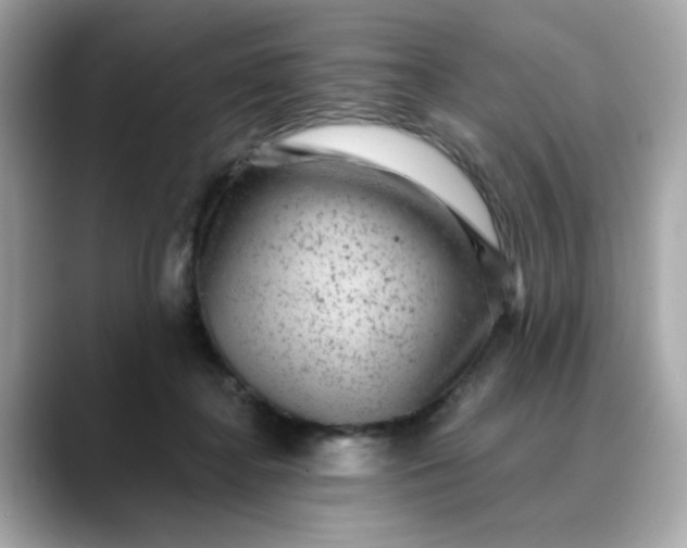 X0000088430364200706051234