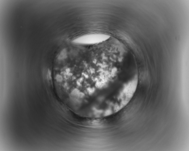 X0000088430365200706051234