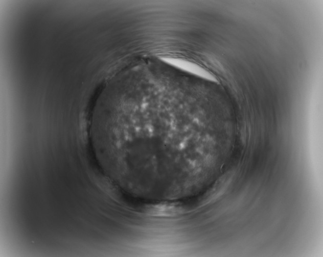 X0000088430366200706051234