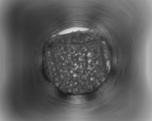 X0000088430367200706051234