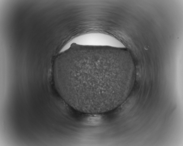 X0000088430369200706051234