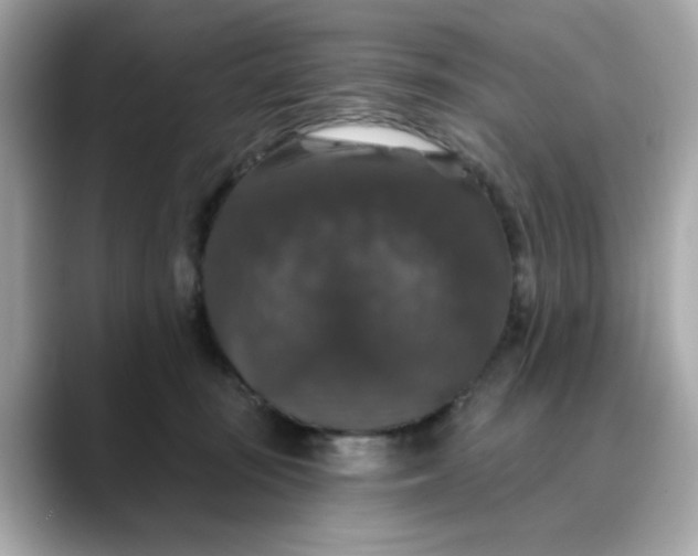 X0000088430371200706051234