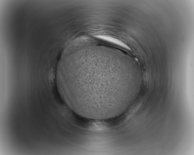 X0000088430372200706051234