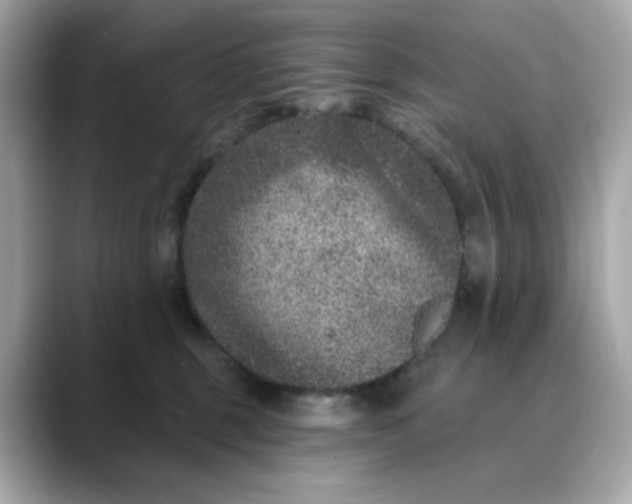 X0000088430375200706051234