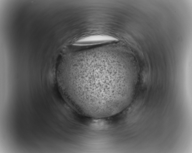 X0000088430376200706051234