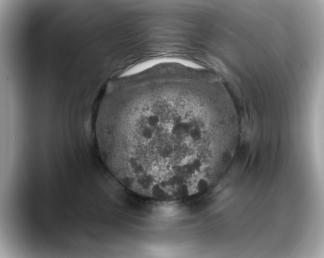 X0000088430377200706051234