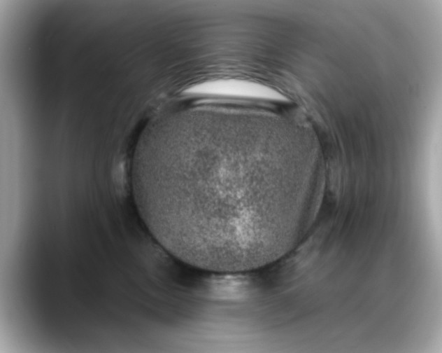 X0000088430378200706051234