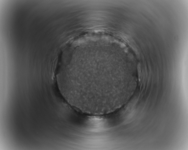 X0000088430380200706051234