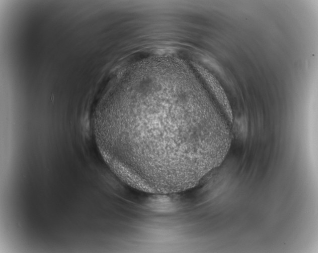 X0000088430381200706051234