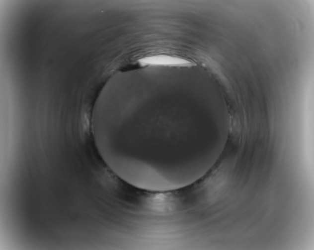 X0000088430382200706051234