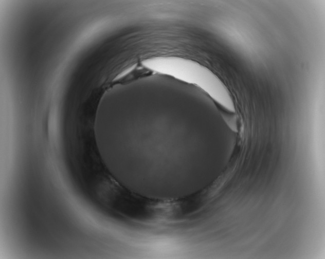 X0000088430383200706051234