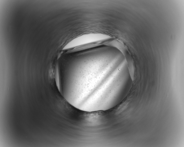 X0000088430384200706051234