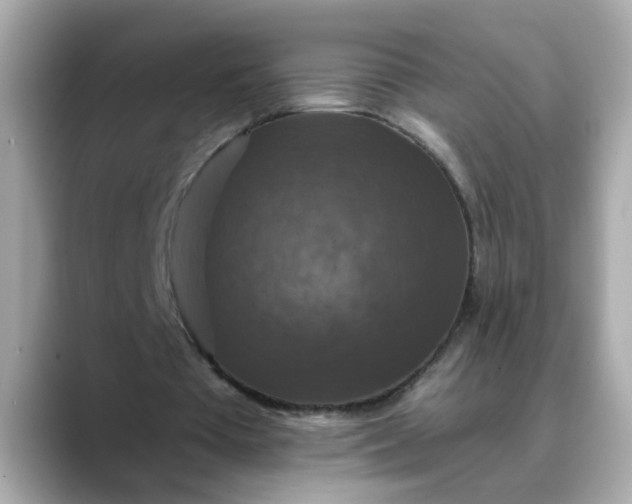 X0000088430385200706051234