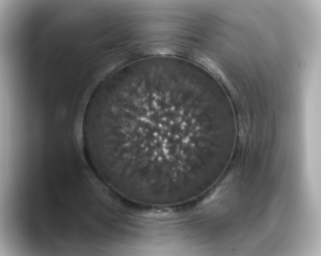 X0000088430386200706051234