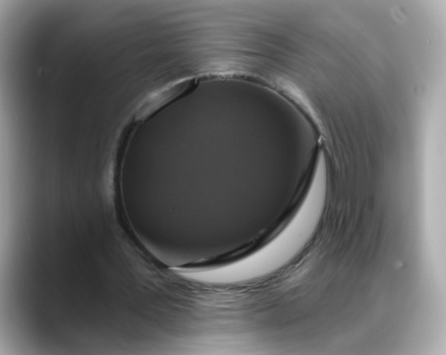 X0000088430387200706051234