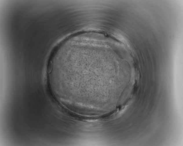 X0000088430388200706051234