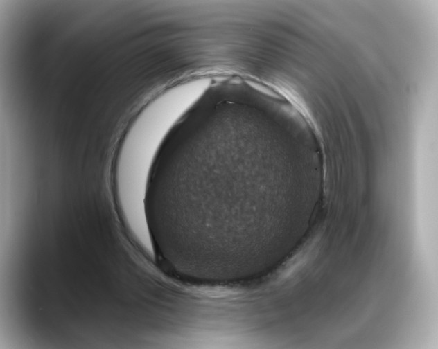 X0000088430389200706051234