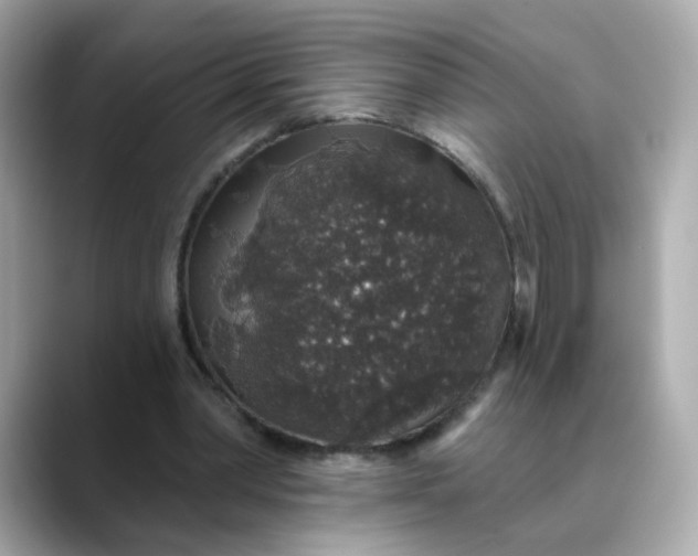 X0000088430390200706051234