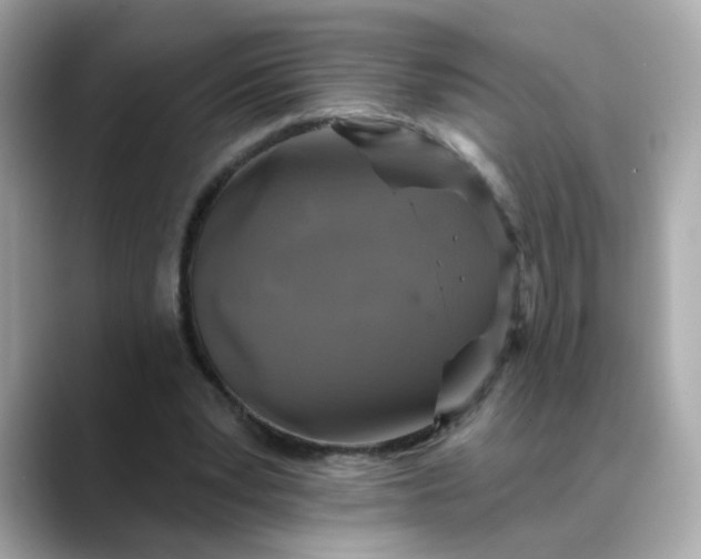 X0000088430391200706051234