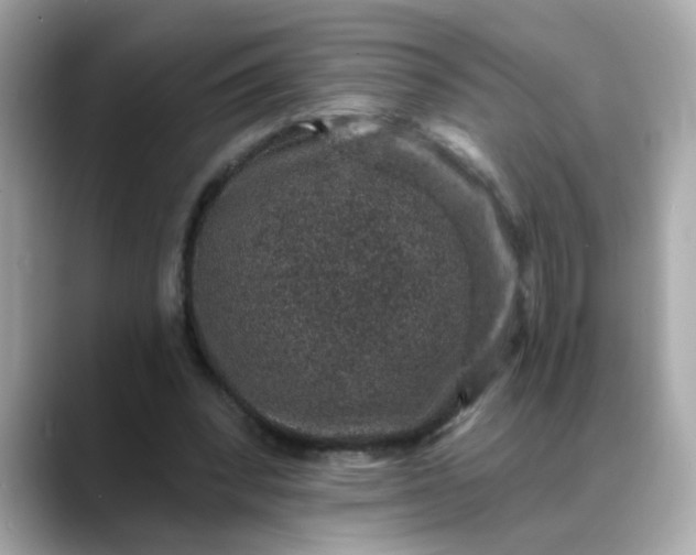 X0000088430392200706051234