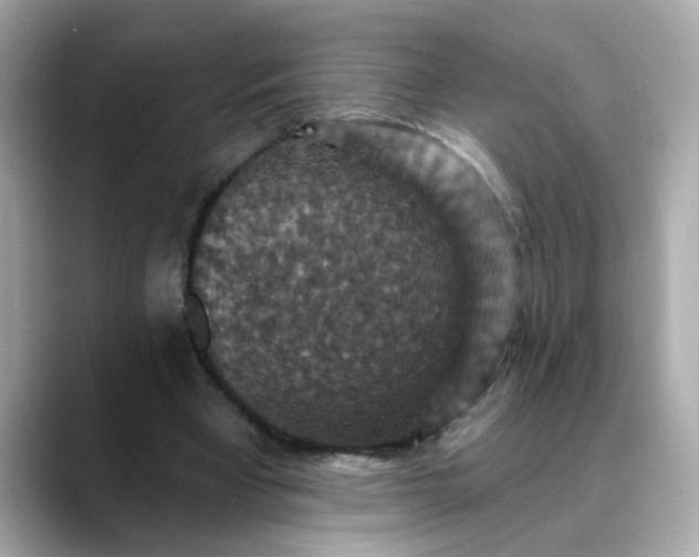 X0000088430393200706051234