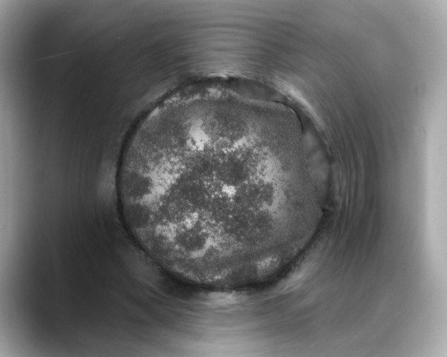 X0000088430394200706051234